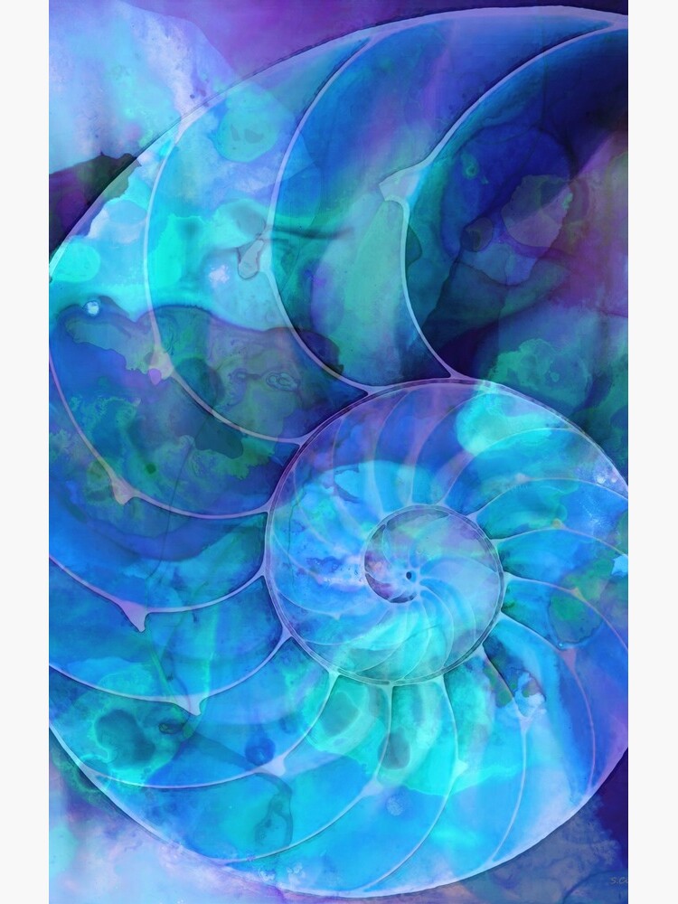 Blue Nautilus Shell By Sharon Cummings by SharonCummings