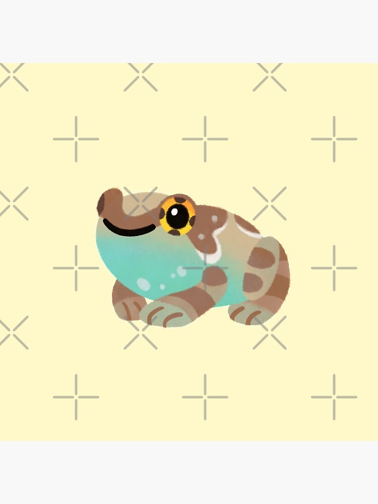 Discover Tree frog | Pin