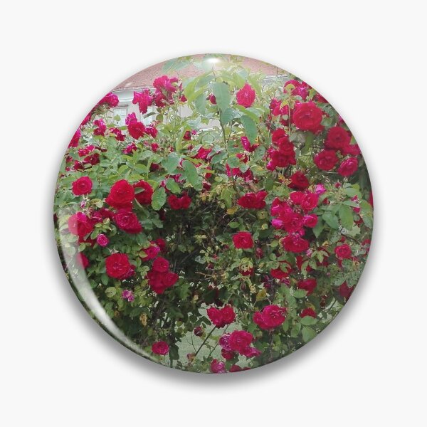 Item preview, Roses designed and sold by SimplyLifestyle.