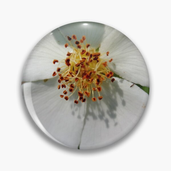 Item preview, in the sunlight designed and sold by Perggals© - Stacey Turner.