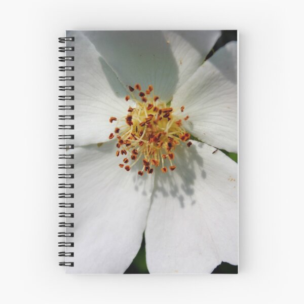 Item preview, in the sunlight designed and sold by Perggals© - Stacey Turner.
