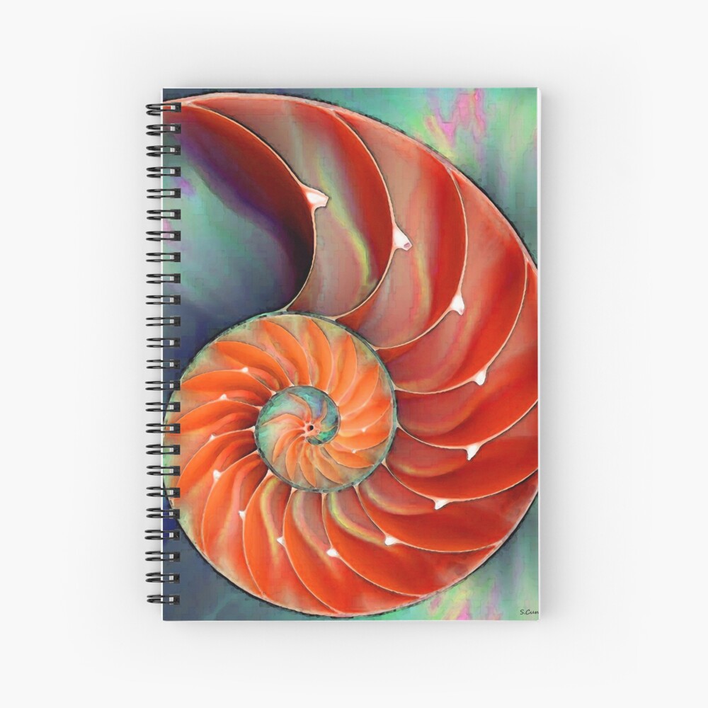 Nautilus Shell Sea Shells Art Print By Sharoncummings Redbubble