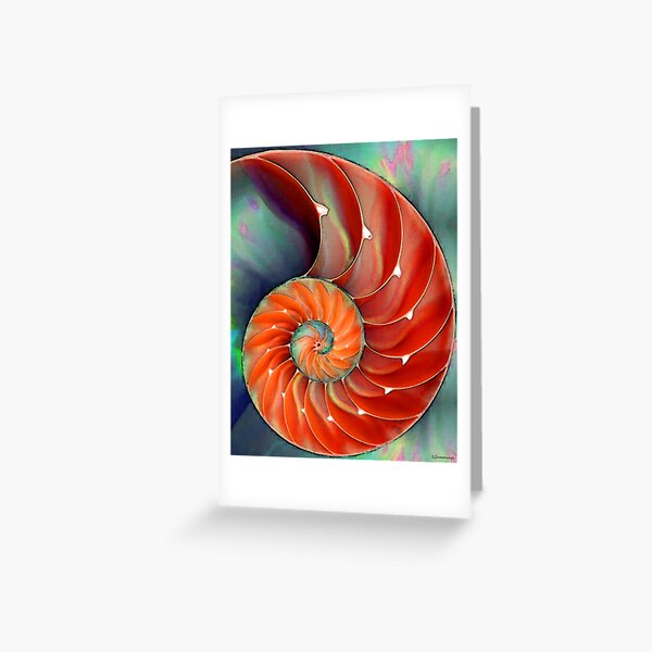 Item preview, Nautilus Shell - Sea Shells designed and sold by Sharon Cummings Art.