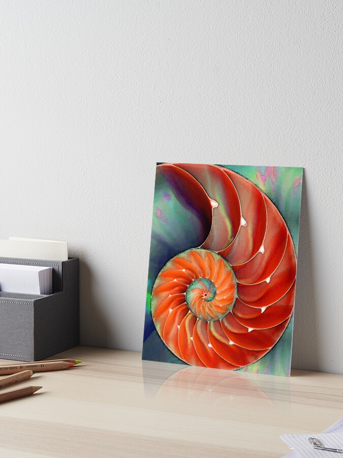 Nautilus Shell Sea Shells Art Board Print By Sharoncummings Redbubble