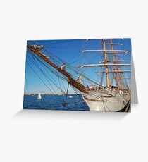 The Cisne Branco Greeting Card