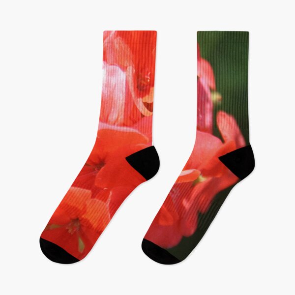 Item preview, Zonal Geranium Pelargonium hortorum designed and sold by taiche.