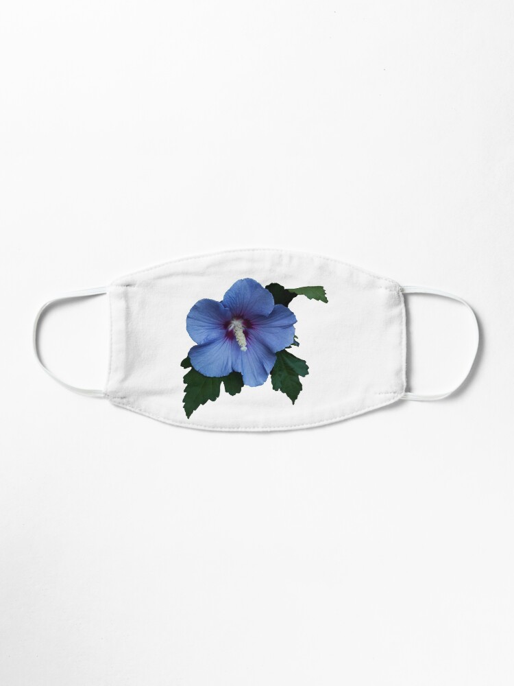 Single Blue Satin Rose Mallow Bloom Isolated Mask By Kbytes Redbubble