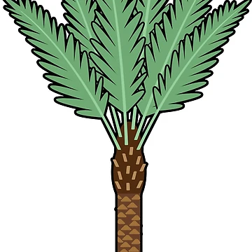 Artwork thumbnail, DATE PALM ILLUSTRATION by Ravian Reva