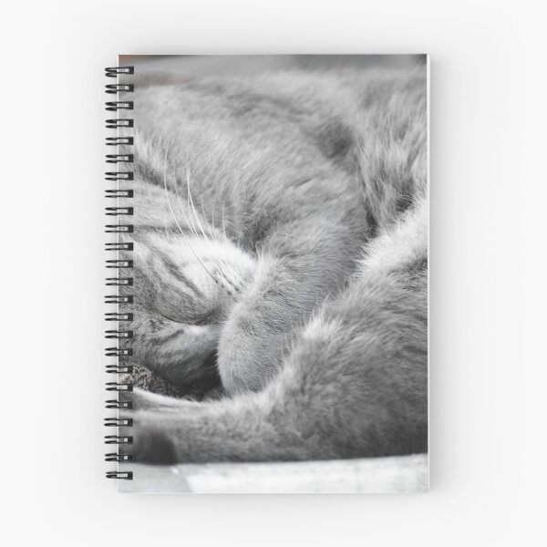 Item preview, Nap Time designed and sold by Diego Re.