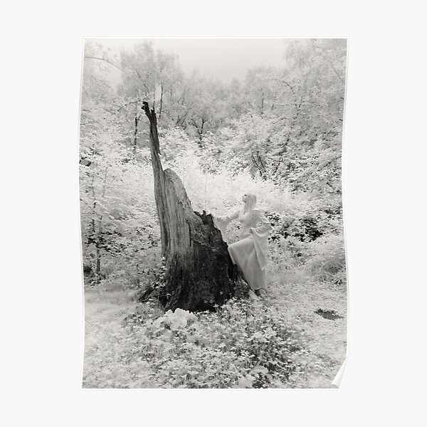 'The Druidess' Poster