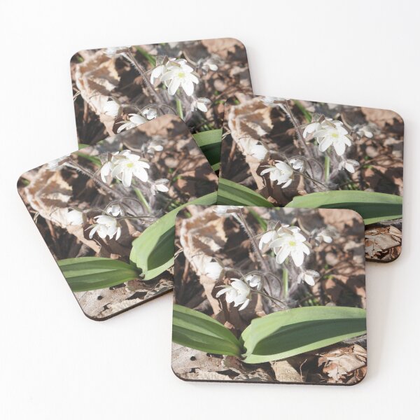 Item preview, impossibly pretty designed and sold by distracted.
