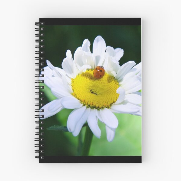 Item preview, Daisy designed and sold by BarbaraWilliams.