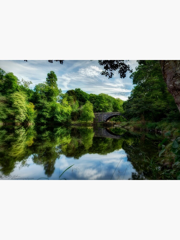 Summer on the river by bcash