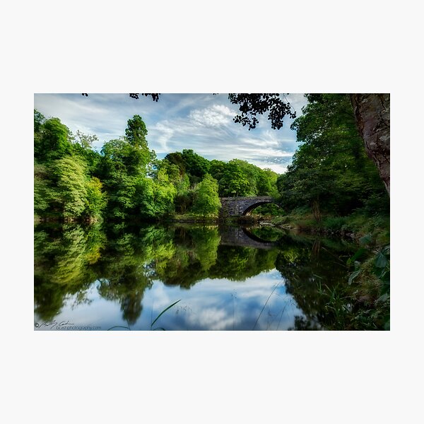 Summer on the river Photographic Print