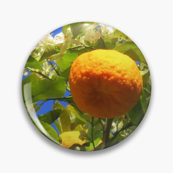 Item preview, orange dans son oranger designed and sold by AHELENE.