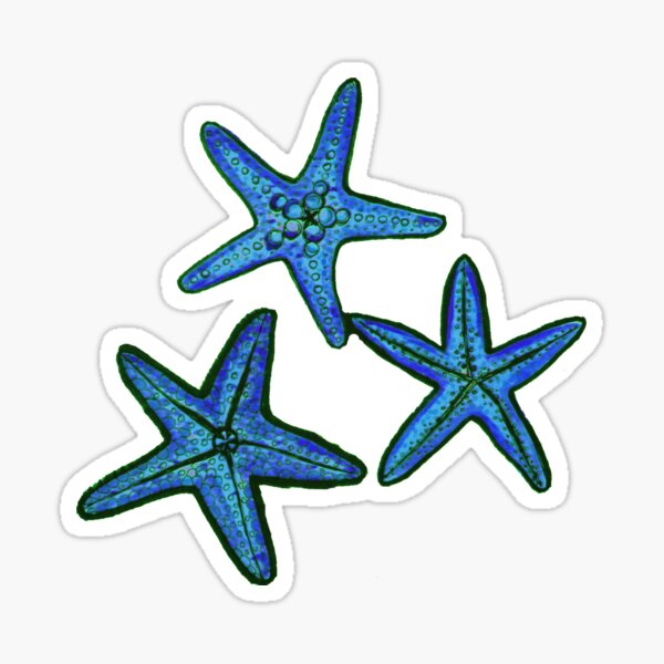 Vista previa del artículo con la obra «Estrella de mar azul con textura», diseñado y vendido por MagentaRose.
