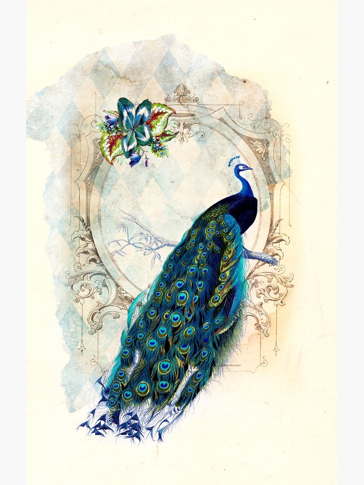 Vintage Peacock Case by curiousfashion