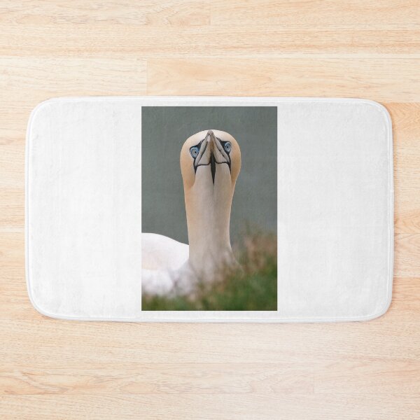 Item preview, Northern Gannet designed and sold by Gez Robinson.