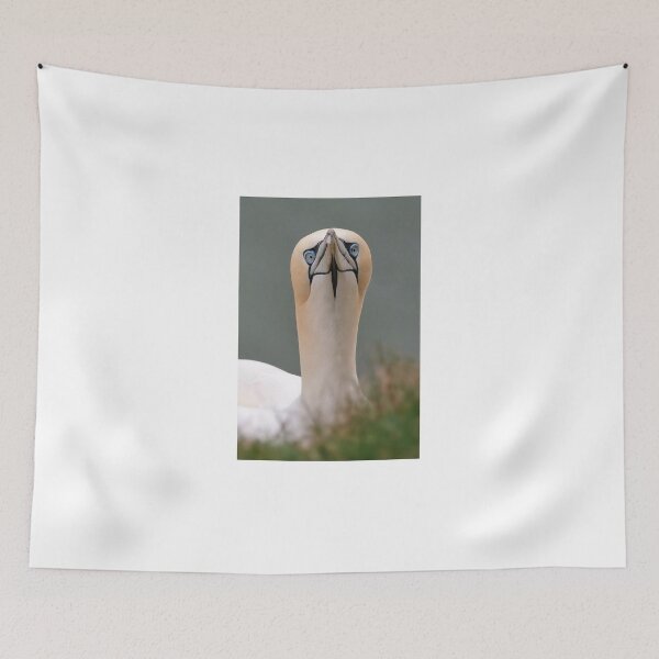 Item preview, Northern Gannet designed and sold by Gez Robinson.