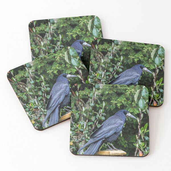 Item preview, The Rook on the Fence. What a beady eye this rook has!  designed and sold by Cameranick.