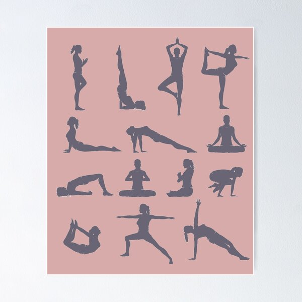 Yoga Assists: A Complete Visual and Inspirational Guide to Yoga Asana –  Jivamukti Shop