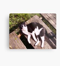 Board on a Sunny Day Metal Print