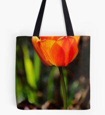 Catching The Light Tote Bag