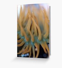 Sea anemone Greeting Card