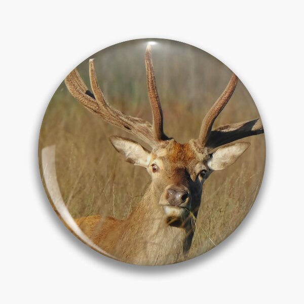 Item preview, Red Deer Stag designed and sold by Gez Robinson.