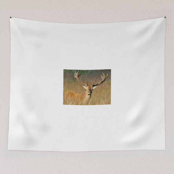 Item preview, Red Deer Stag designed and sold by Gez Robinson.