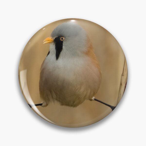 Item preview, Bearded tit designed and sold by Gez Robinson.