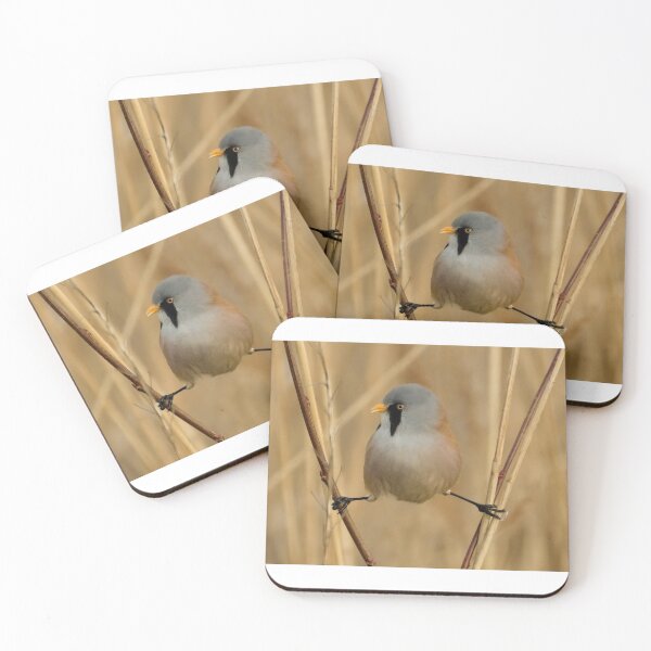 Item preview, Bearded tit designed and sold by Gez Robinson.