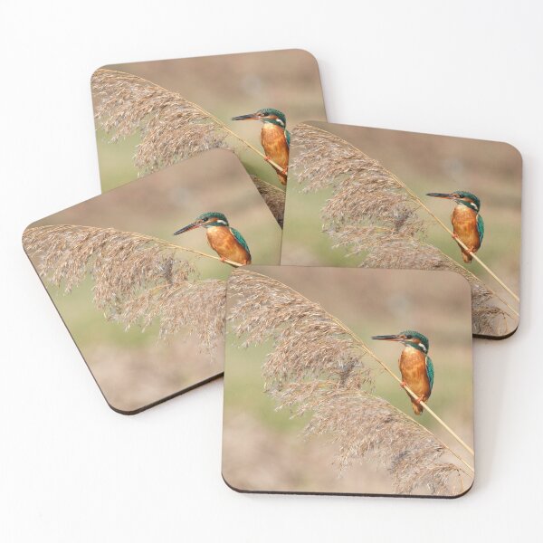 Item preview, Kingfisher on reeds designed and sold by Gez Robinson.