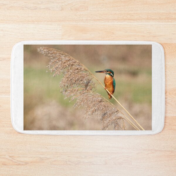 Item preview, Kingfisher on reeds designed and sold by Gez Robinson.