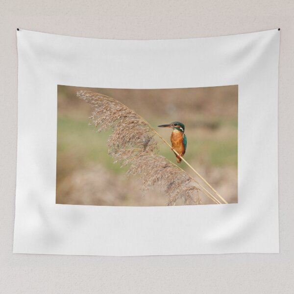 Item preview, Kingfisher on reeds designed and sold by Gez Robinson.