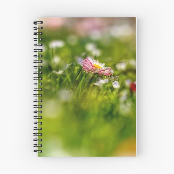 Aperçu de l'œuvre meadow flowers créée et vendue par Geraldas Galinauskas.