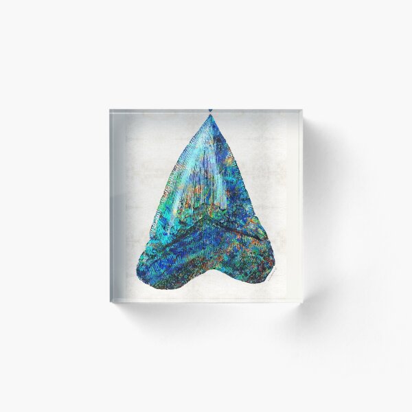 Blue Shark Tooth Art by Sharon Cummings Acrylic Block