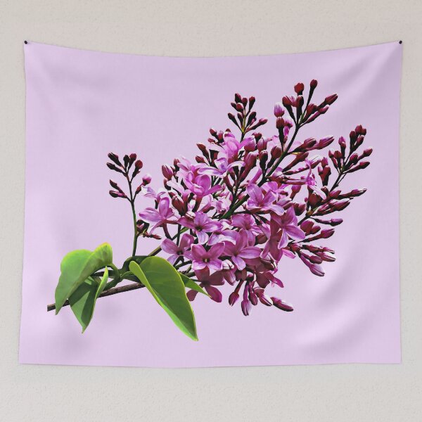 Item preview, Lilacs Starting to Open designed and sold by Susan Savad.