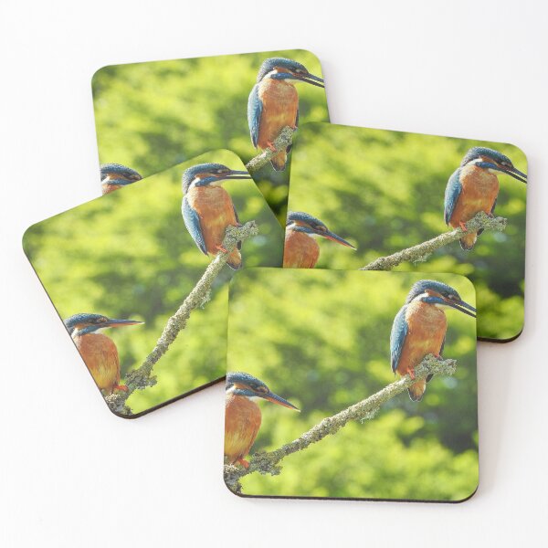 Item preview, Pair of Kingfishers designed and sold by Gez Robinson.