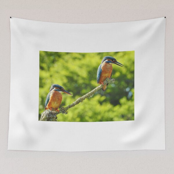 Item preview, Pair of Kingfishers designed and sold by Gez Robinson.