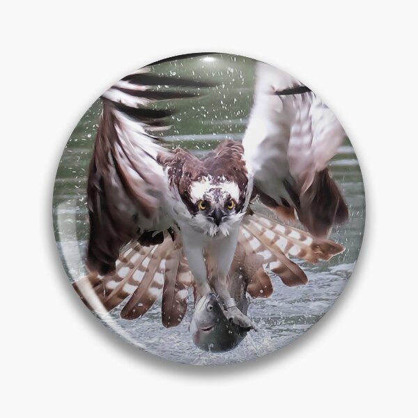 Item preview, Catch of the day designed and sold by Gez Robinson.