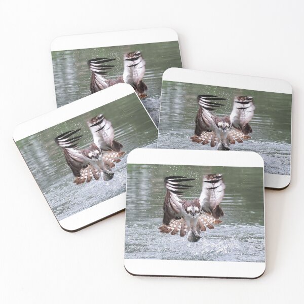 Item preview, Catch of the day designed and sold by Gez Robinson.