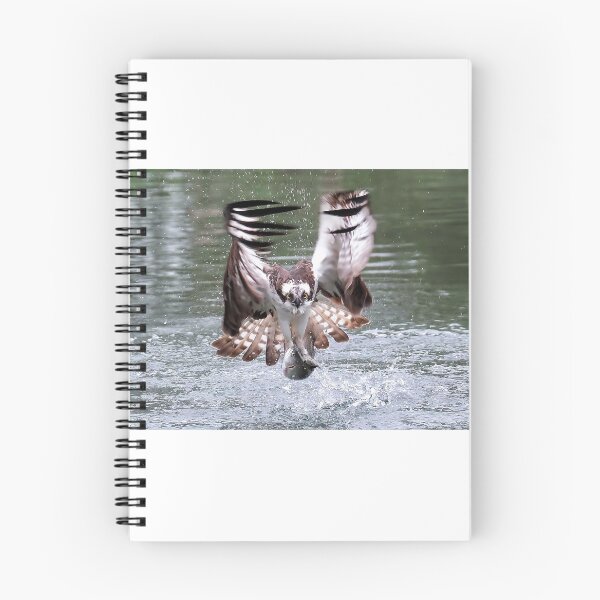 Item preview, Catch of the day designed and sold by Gez Robinson.