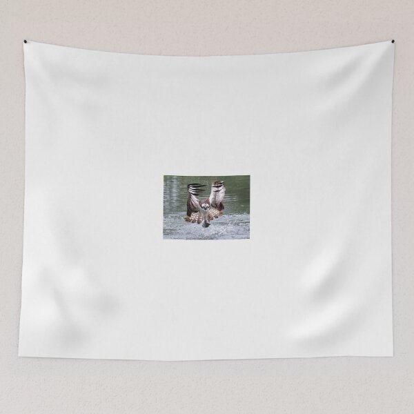 Item preview, Catch of the day designed and sold by Gez Robinson.