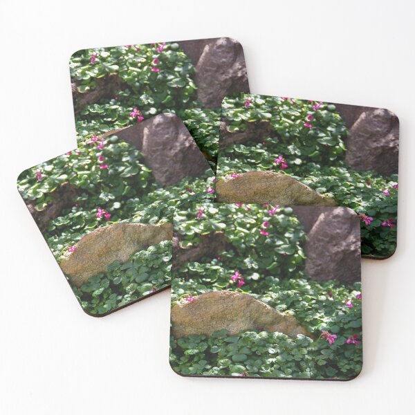 Item preview, Spring Rockery designed and sold by heatherfriedman.