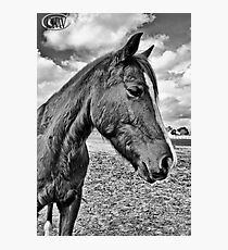 Whoop Photographic Print