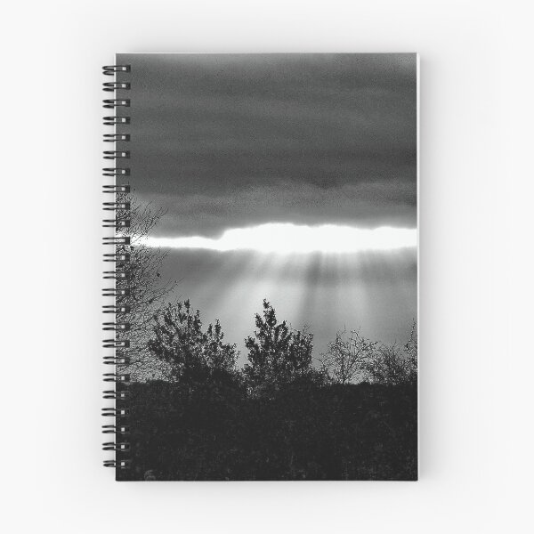 Item preview, The Last Rays! designed and sold by naturelover.