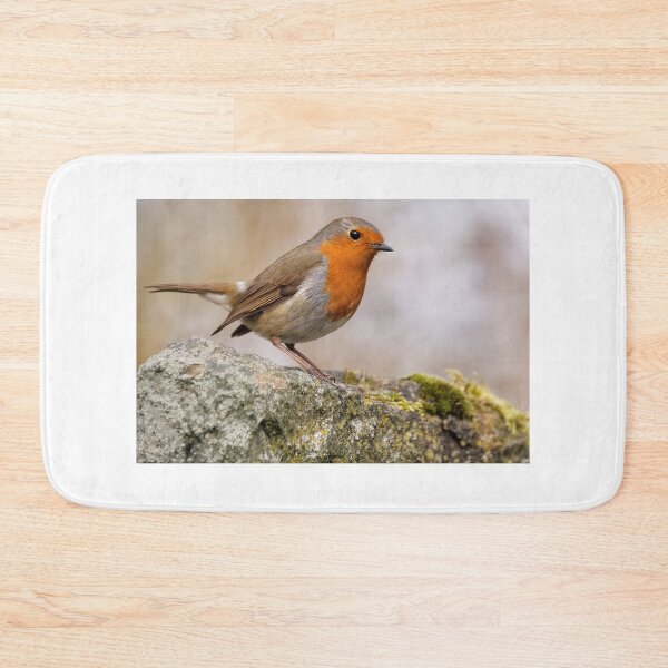 Item preview, Robin on a stonewall designed and sold by Gez Robinson.