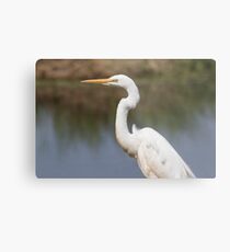 Observing The Ponds Metal Print