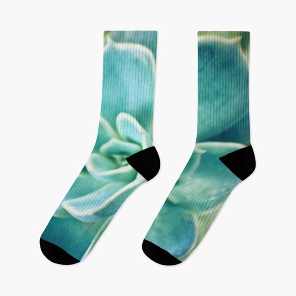 Item preview, Blue Succulent designed and sold by RoxanneG.